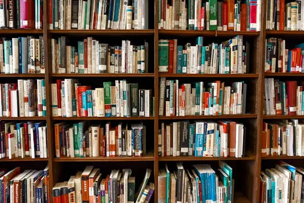 Boekenkast Nederlandse Fantasy